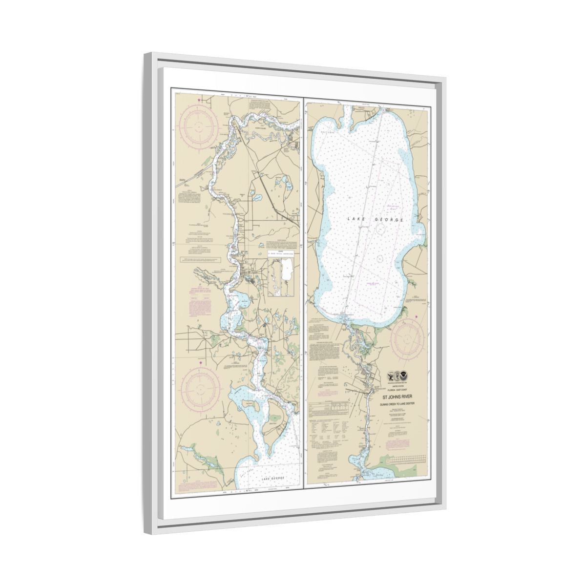Chart 11495 St. Johns River Dunns Creek to Lake Dexter - NOAA Nautical Chart Floating Frame Canvas | 24" x 32" | 30" x 40" - White side