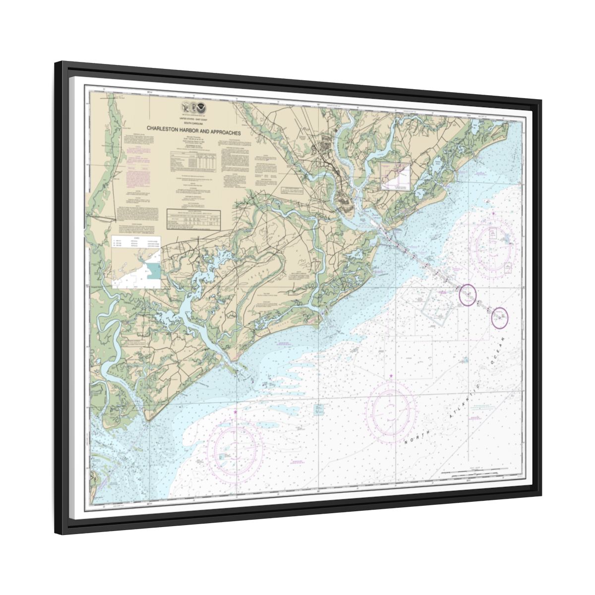 Chart 11521 Charleston Harbor and Approaches - NOAA Nautical Chart Floating Frame Canvas | 32" x 24" | 40" x 30" - Black side