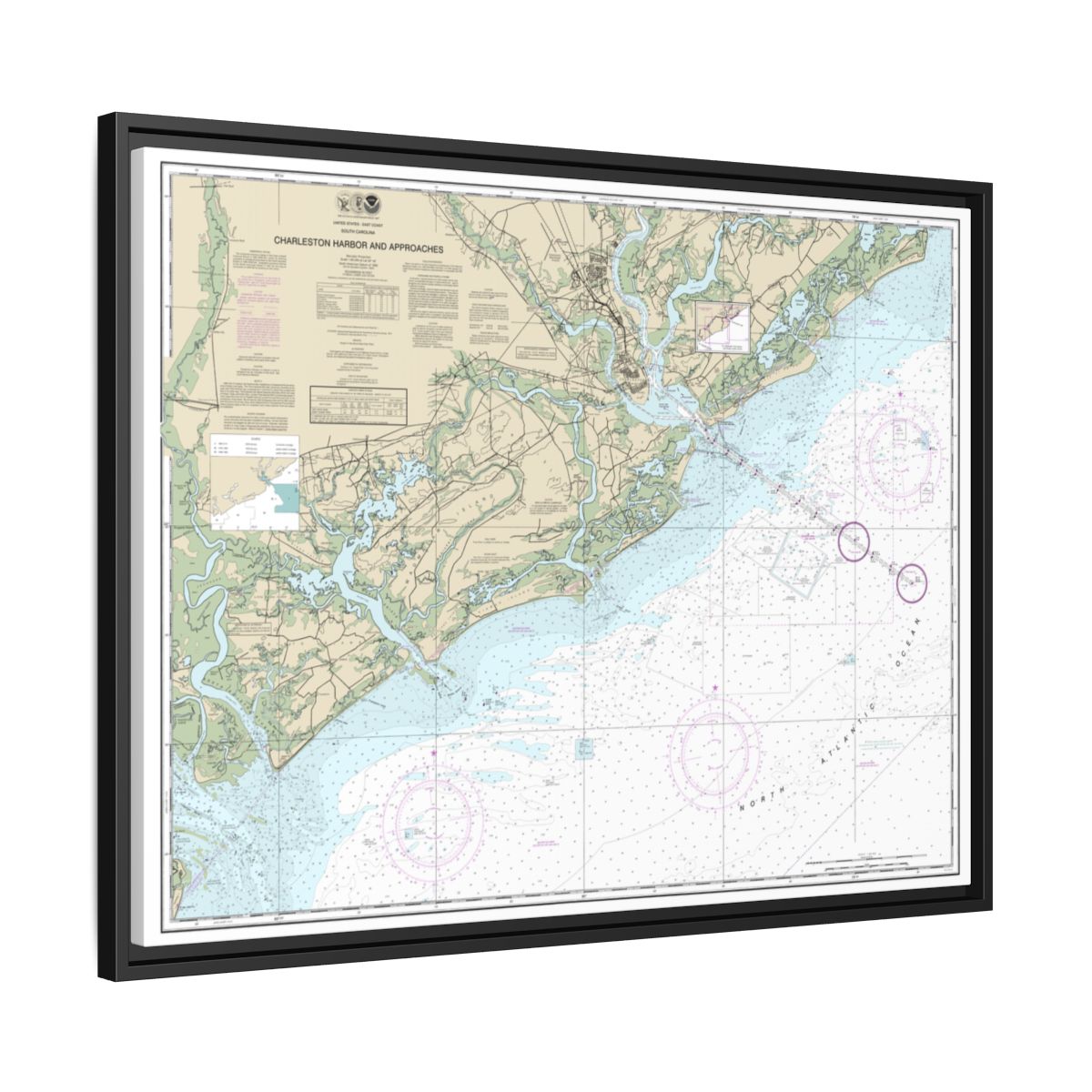 Chart 11521 Charleston Harbor and Approaches - NOAA Nautical Chart Floating Frame Canvas | 32" x 24" | 40" x 30" - Black side