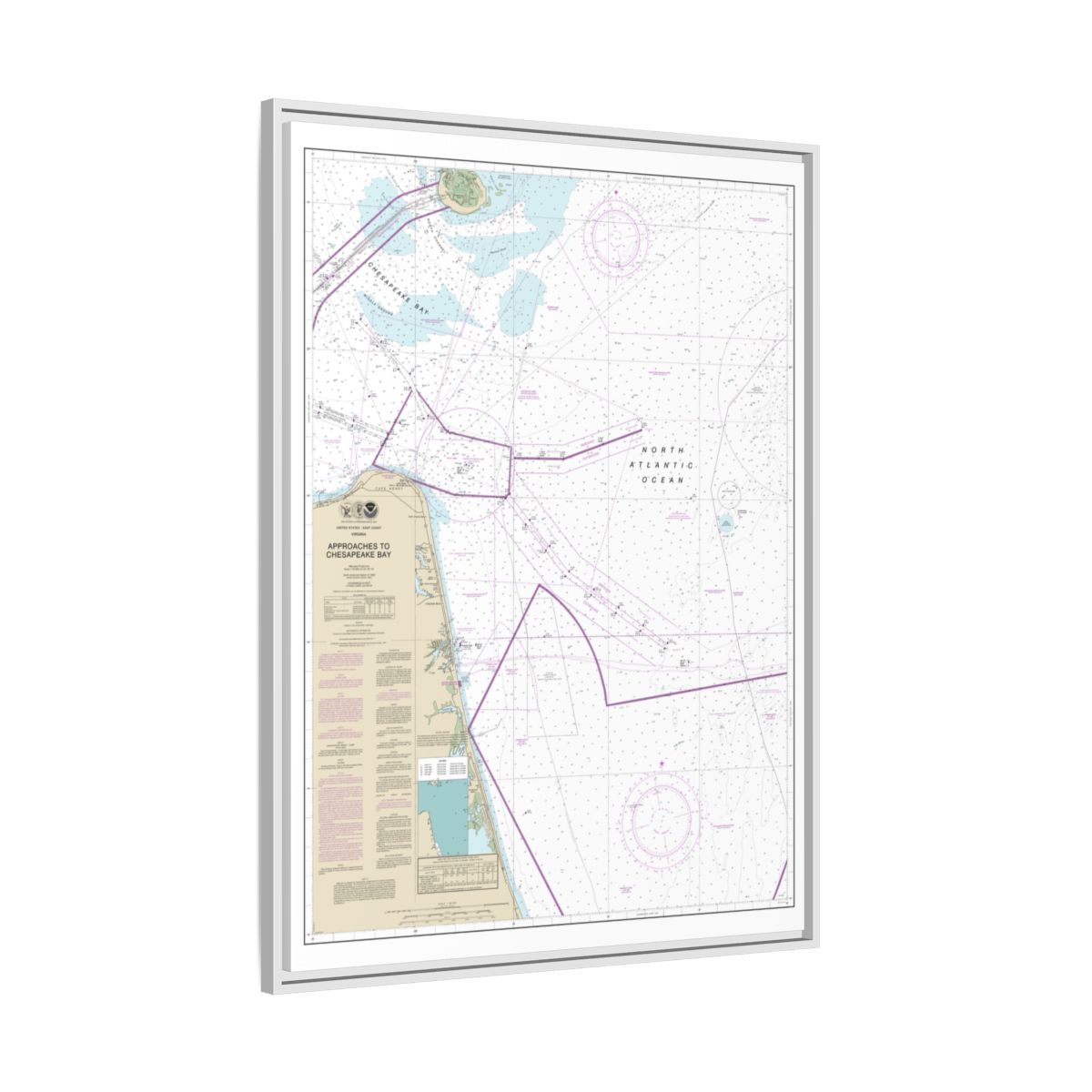 Chart 12208 Approaches to Chesapeake Bay - NOAA Nautical Chart Floating Frame Canvas | 24" x 32" | 30" x 40" - White side