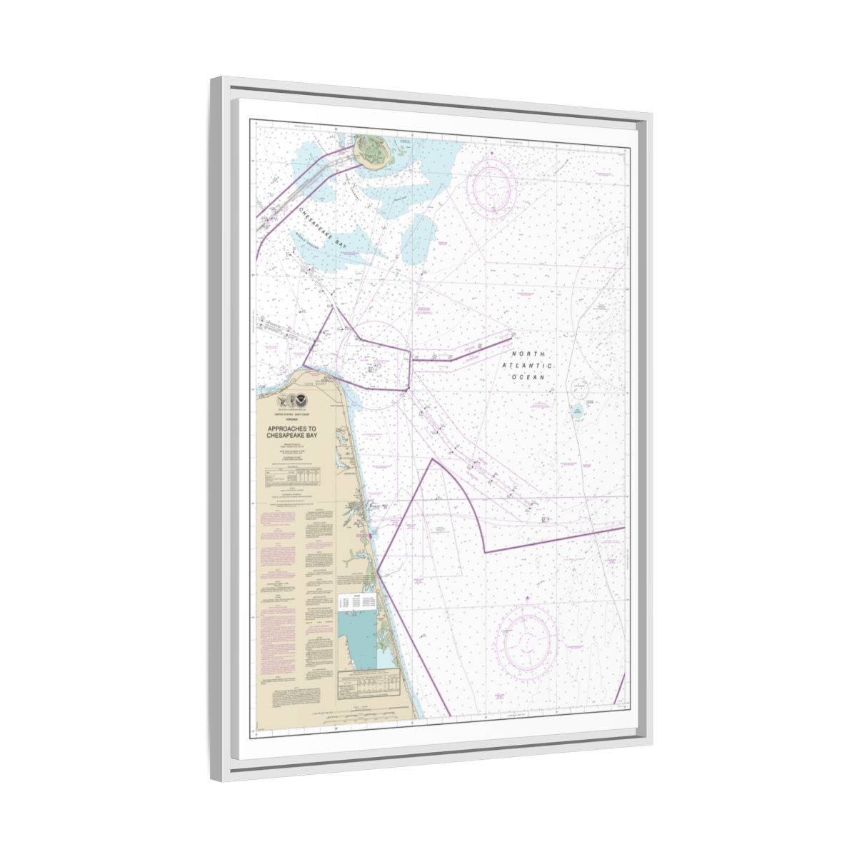 Chart 12208 Approaches to Chesapeake Bay - NOAA Nautical Chart Floating Frame Canvas | 24" x 32" | 30" x 40" - White side