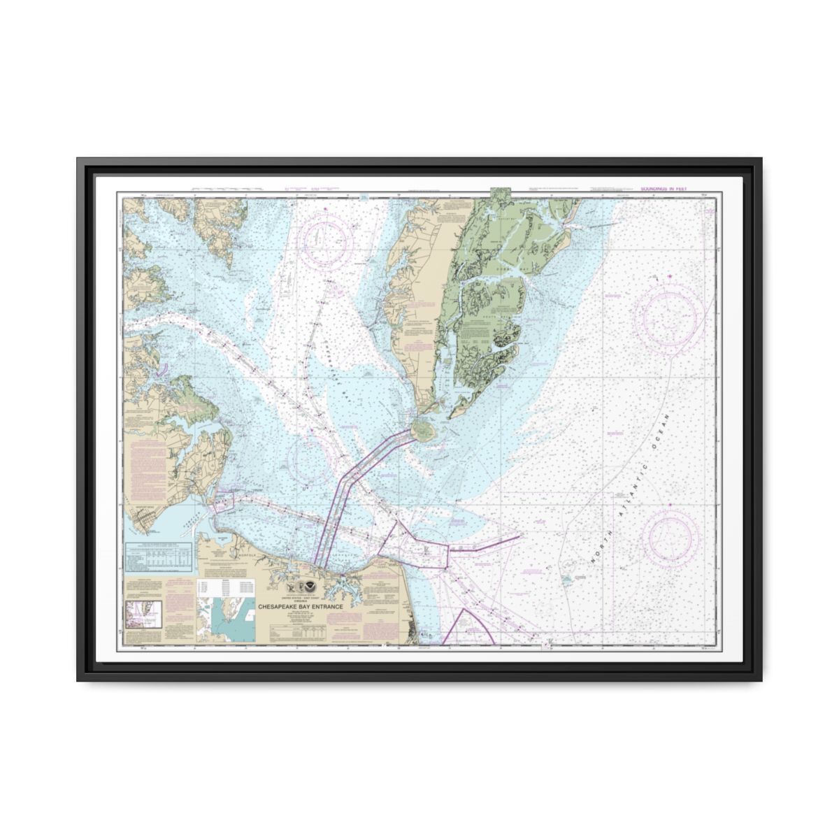 Chart 12221 Chesapeake Bay Entrance - NOAA Nautical Chart Floating Frame Canvas | 32" x 24" | 40" x 30" - Black front