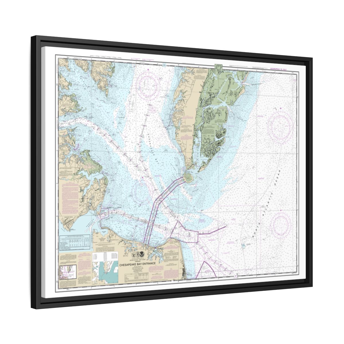 Chart 12221 Chesapeake Bay Entrance - NOAA Nautical Chart Floating Frame Canvas | 32" x 24" | 40" x 30" - Black side