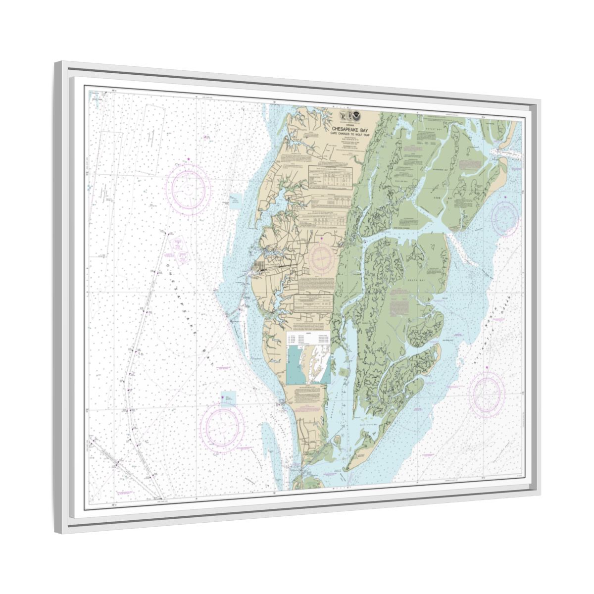 Chart 12224 Chesapeake Bay Cape Charles to Wolf Trap - NOAA Nautical Chart Floating Frame Canvas | 32" x 24" | 40" x 30" - White side