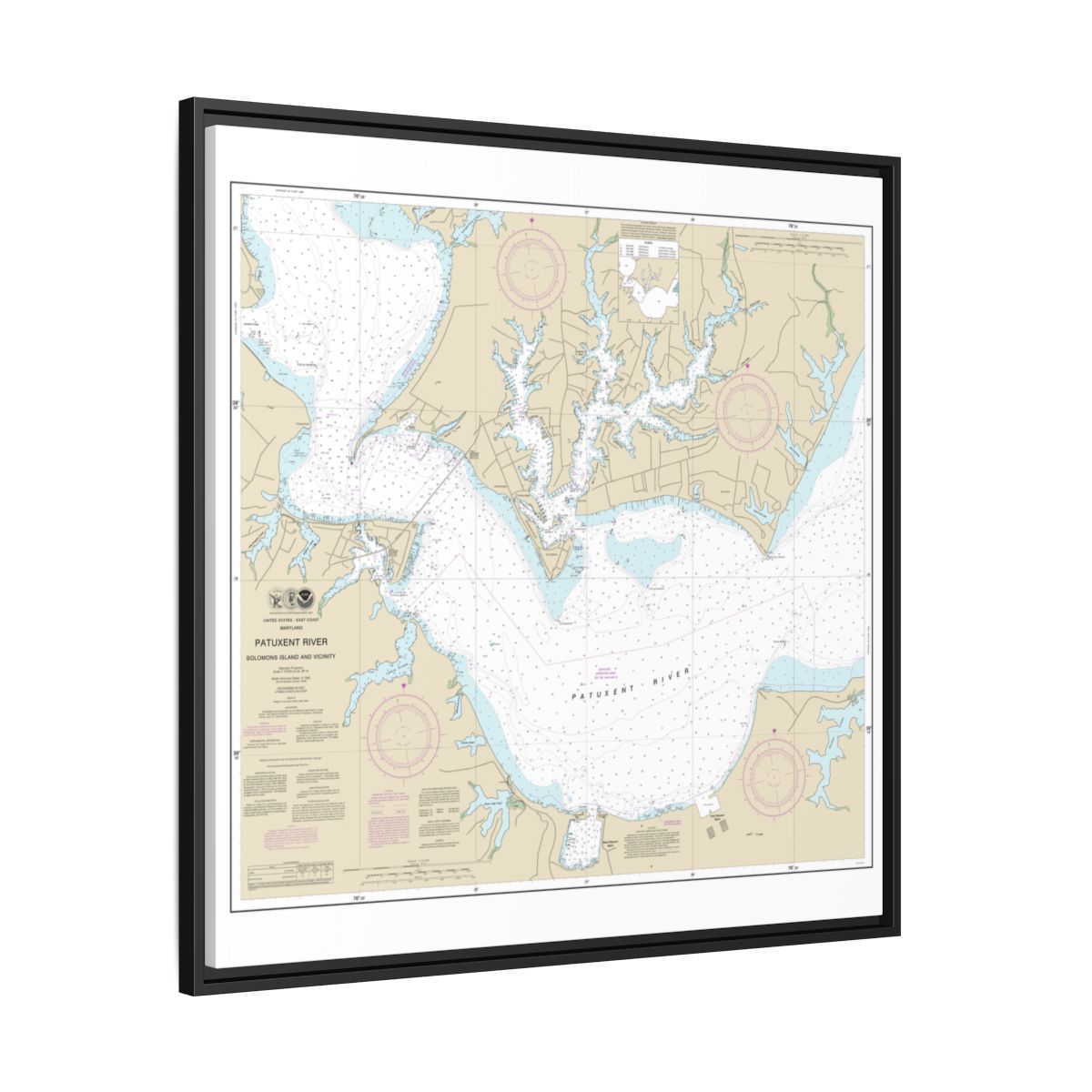 Chart 12284 Patuxent River Solomons lsland and Vicinity - NOAA Nautical Chart Floating Frame Canvas | 32" x 32" - Black side