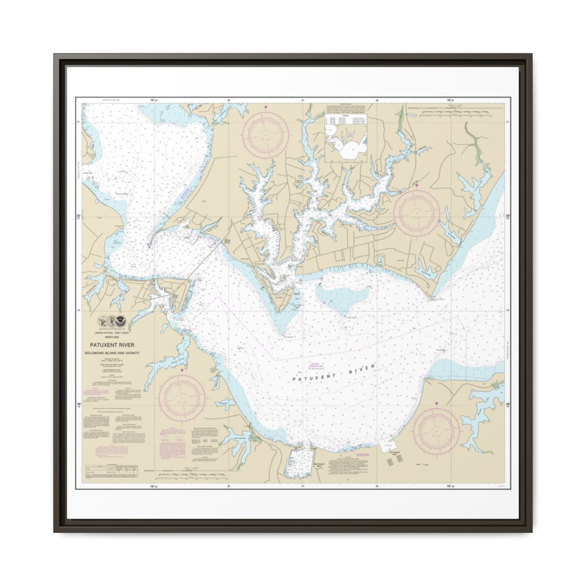 Chart 12284 Patuxent River Solomons lsland and Vicinity - NOAA Nautical Chart Floating Frame Canvas | 32" x 32" - Espresso front
