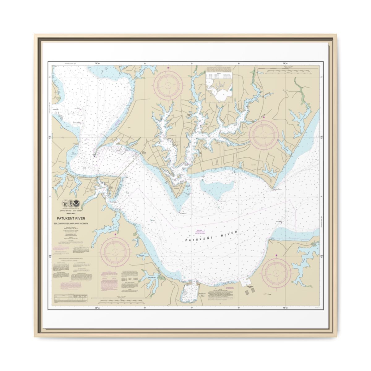 Chart 12284 Patuxent River Solomons lsland and Vicinity - NOAA Nautical Chart Floating Frame Canvas | 32" x 32" - Natural front