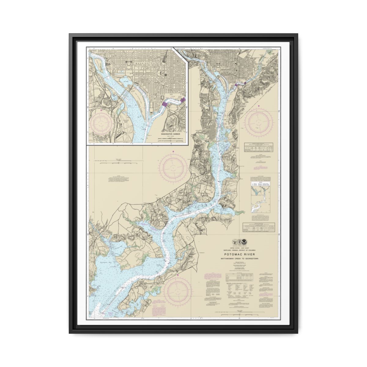 Chart 12289 Potomac River Mattawoman Creek to Georgetown;Washington Harbor - NOAA Nautical Chart Floating Frame Canvas | 24" x 32" | 30" x 40" - Black front