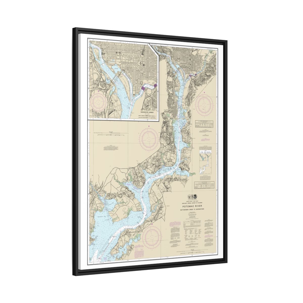 Chart 12289 Potomac River Mattawoman Creek to Georgetown;Washington Harbor - NOAA Nautical Chart Floating Frame Canvas | 24" x 32" | 30" x 40" - Black side