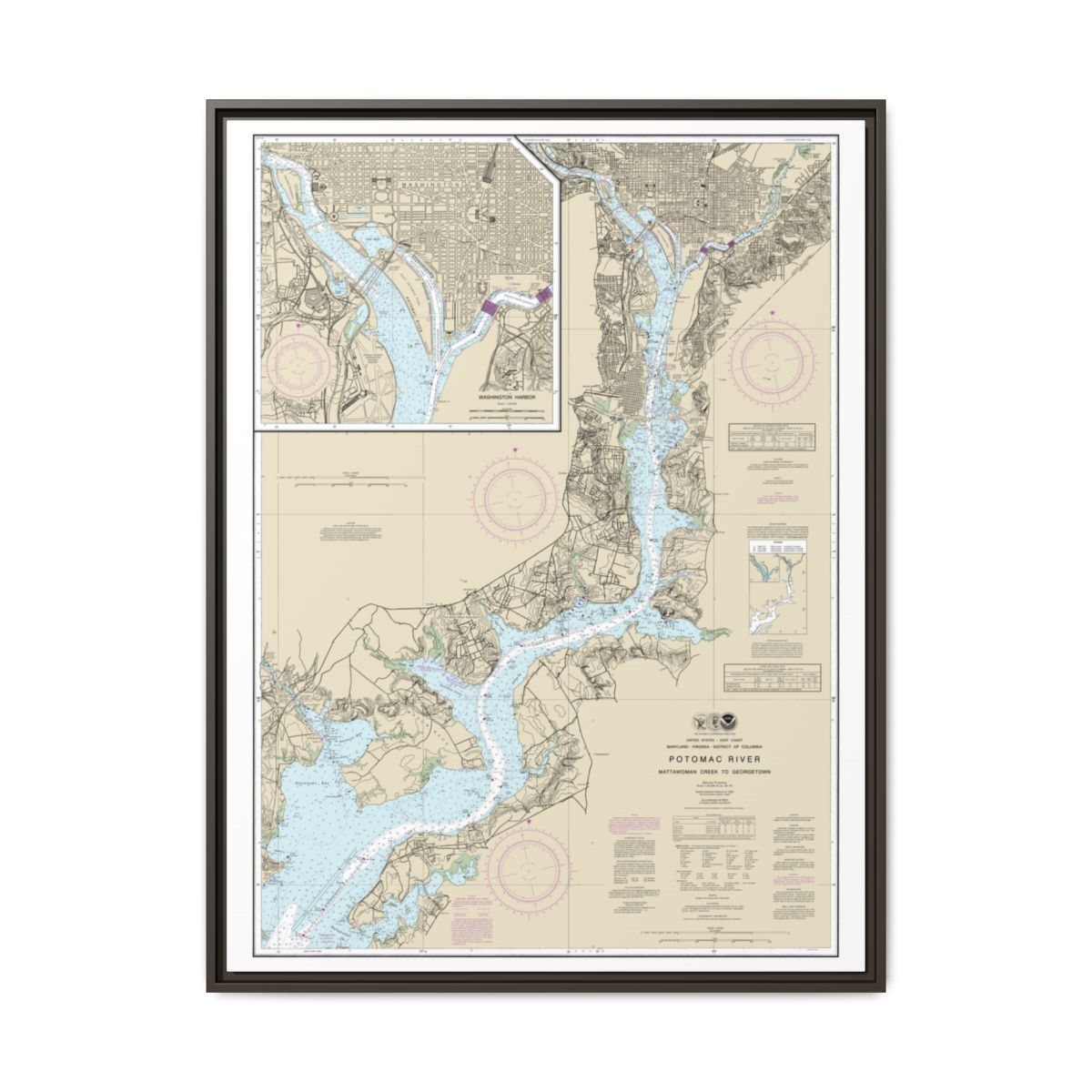 Chart 12289 Potomac River Mattawoman Creek to Georgetown;Washington Harbor - NOAA Nautical Chart Floating Frame Canvas | 24" x 32" | 30" x 40" - Espresso front