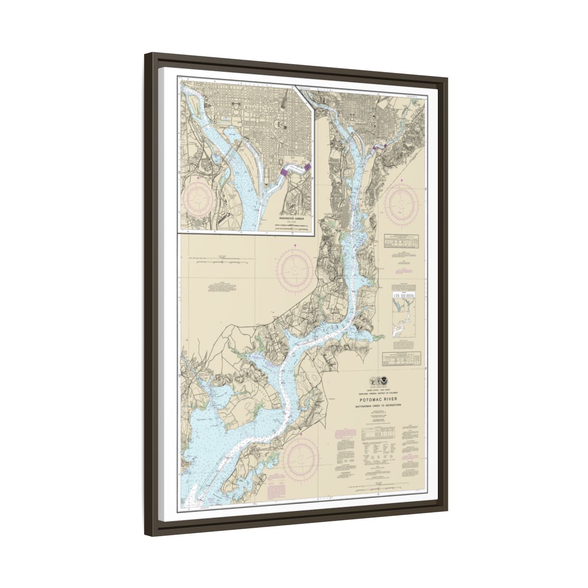 Chart 12289 Potomac River Mattawoman Creek to Georgetown;Washington Harbor - NOAA Nautical Chart Floating Frame Canvas | 24" x 32" | 30" x 40" - Espresso side