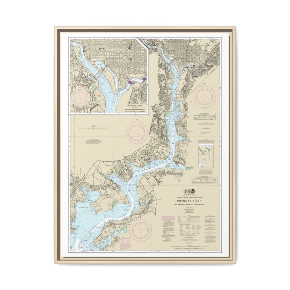 Chart 12289 Potomac River Mattawoman Creek to Georgetown;Washington Harbor - NOAA Nautical Chart Floating Frame Canvas | 24" x 32" | 30" x 40" - Natural front