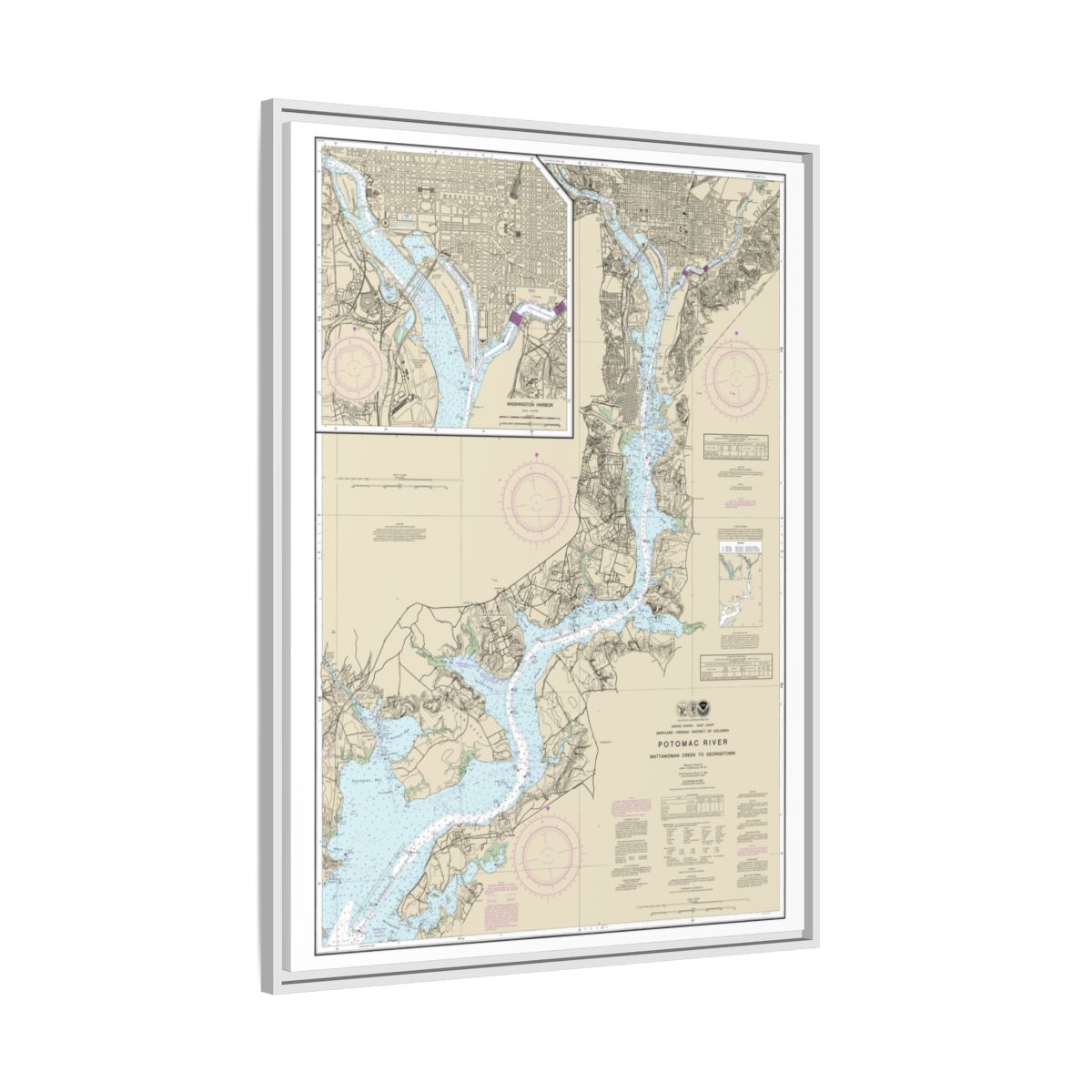 Chart 12289 Potomac River Mattawoman Creek to Georgetown;Washington Harbor - NOAA Nautical Chart Floating Frame Canvas | 24" x 32" | 30" x 40" - White side