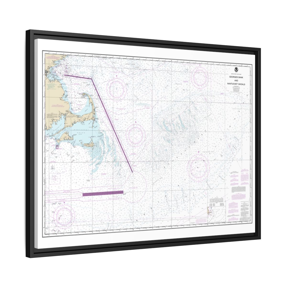 Chart 13200 Georges Bank and Nantucket Shoals - NOAA Nautical Chart Floating Frame Canvas | 32" x 24" | 40" x 30" - Black side