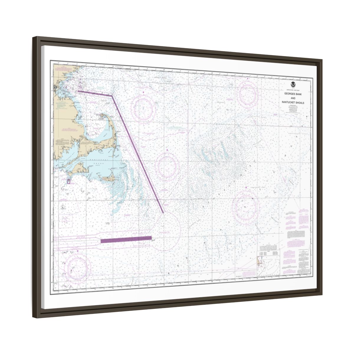 Chart 13200 Georges Bank and Nantucket Shoals - NOAA Nautical Chart Floating Frame Canvas | 32" x 24" | 40" x 30" - Espresso side