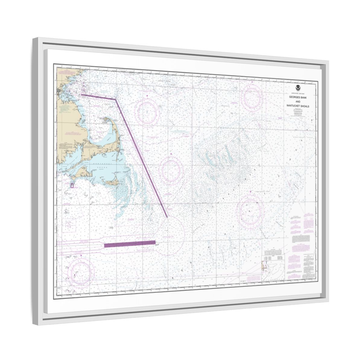 Chart 13200 Georges Bank and Nantucket Shoals - NOAA Nautical Chart Floating Frame Canvas | 32" x 24" | 40" x 30" - White side