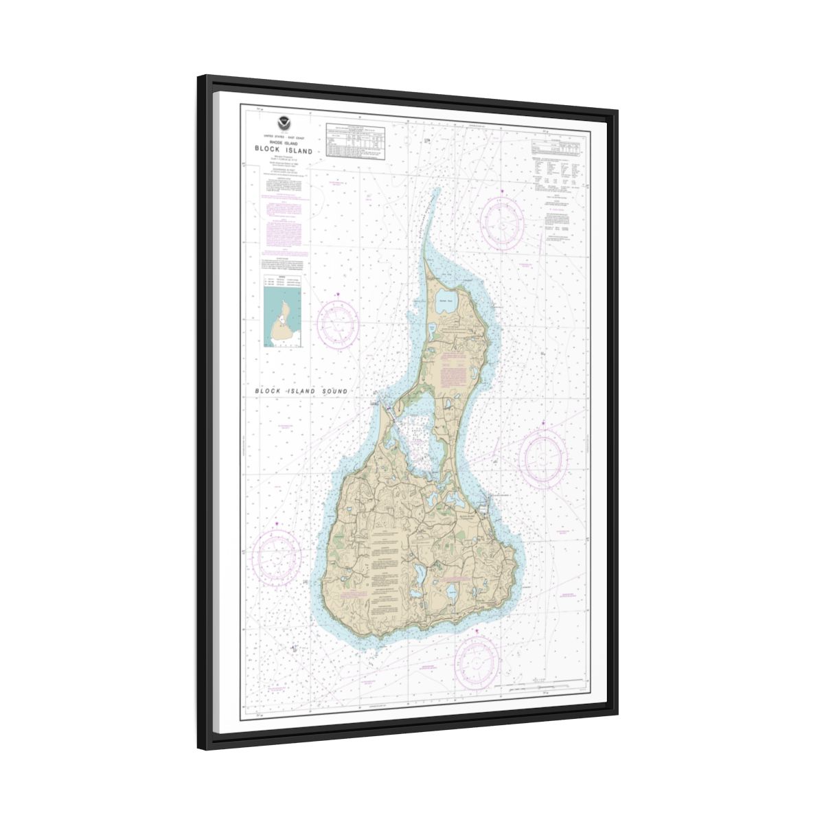 Chart 13217 Block Island - NOAA Nautical Chart Floating Frame Canvas | 24" x 32" | 30" x 40" - Black side