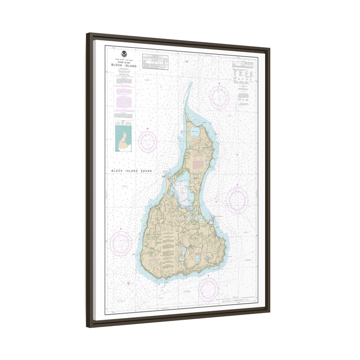 Chart 13217 Block Island - NOAA Nautical Chart Floating Frame Canvas | 24" x 32" | 30" x 40" - Espresso side