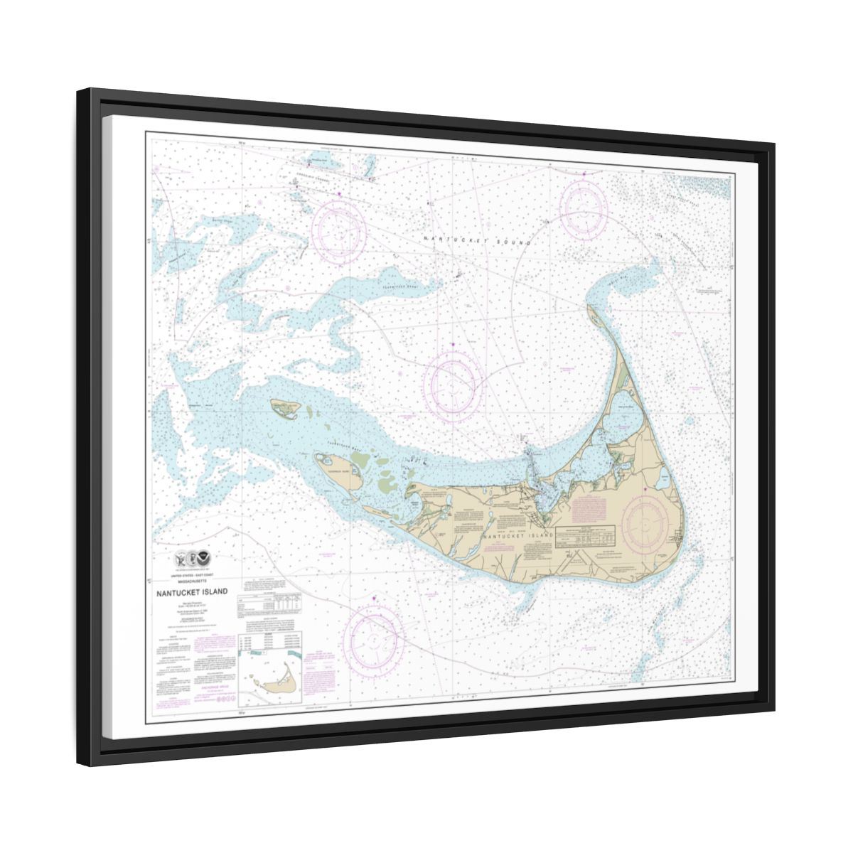 Chart 13241 Nantucket Island - NOAA Nautical Chart Floating Frame Canvas | 32" x 24" | 40" x 30" - Black side