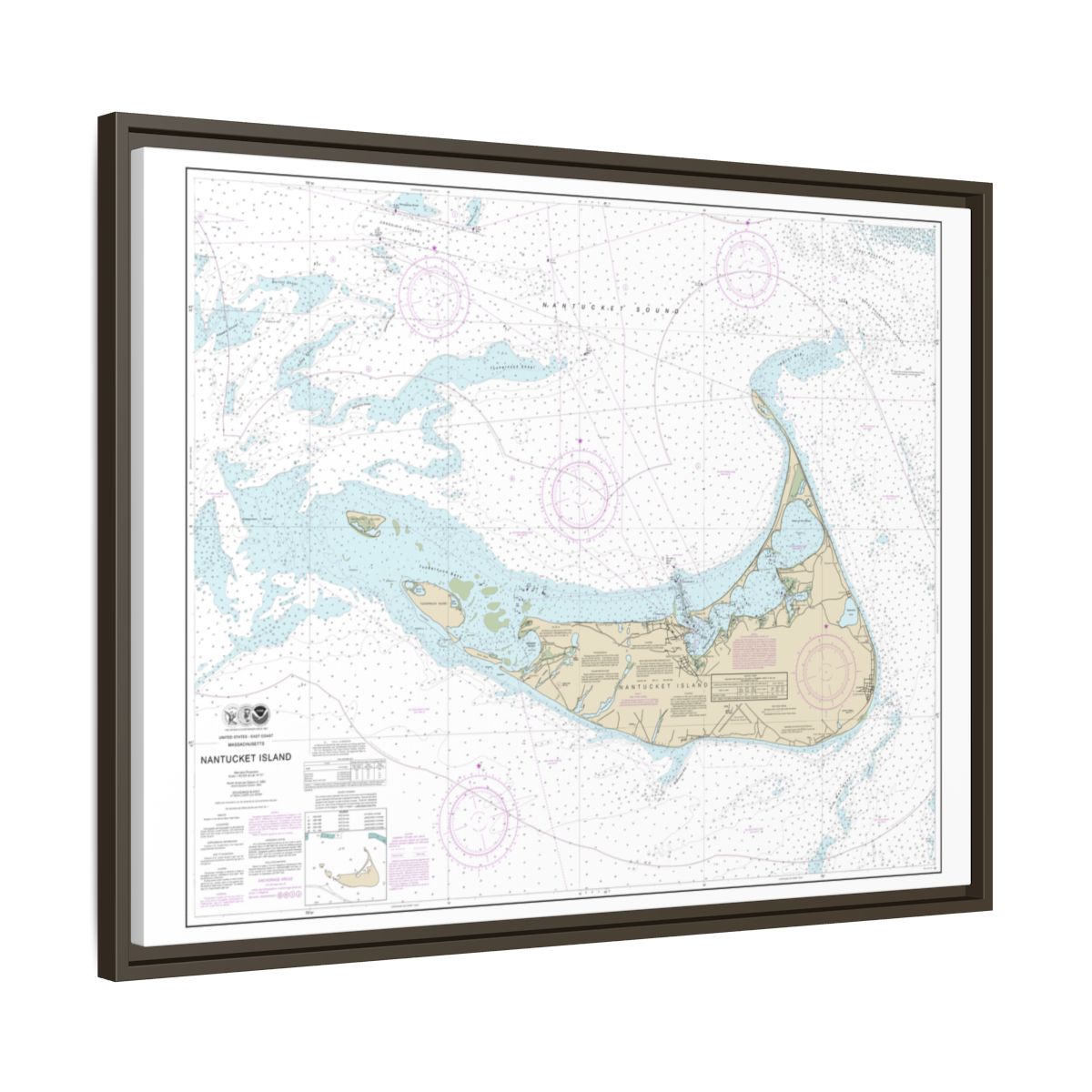 Chart 13241 Nantucket Island - NOAA Nautical Chart Floating Frame Canvas | 32" x 24" | 40" x 30" - Espresso side