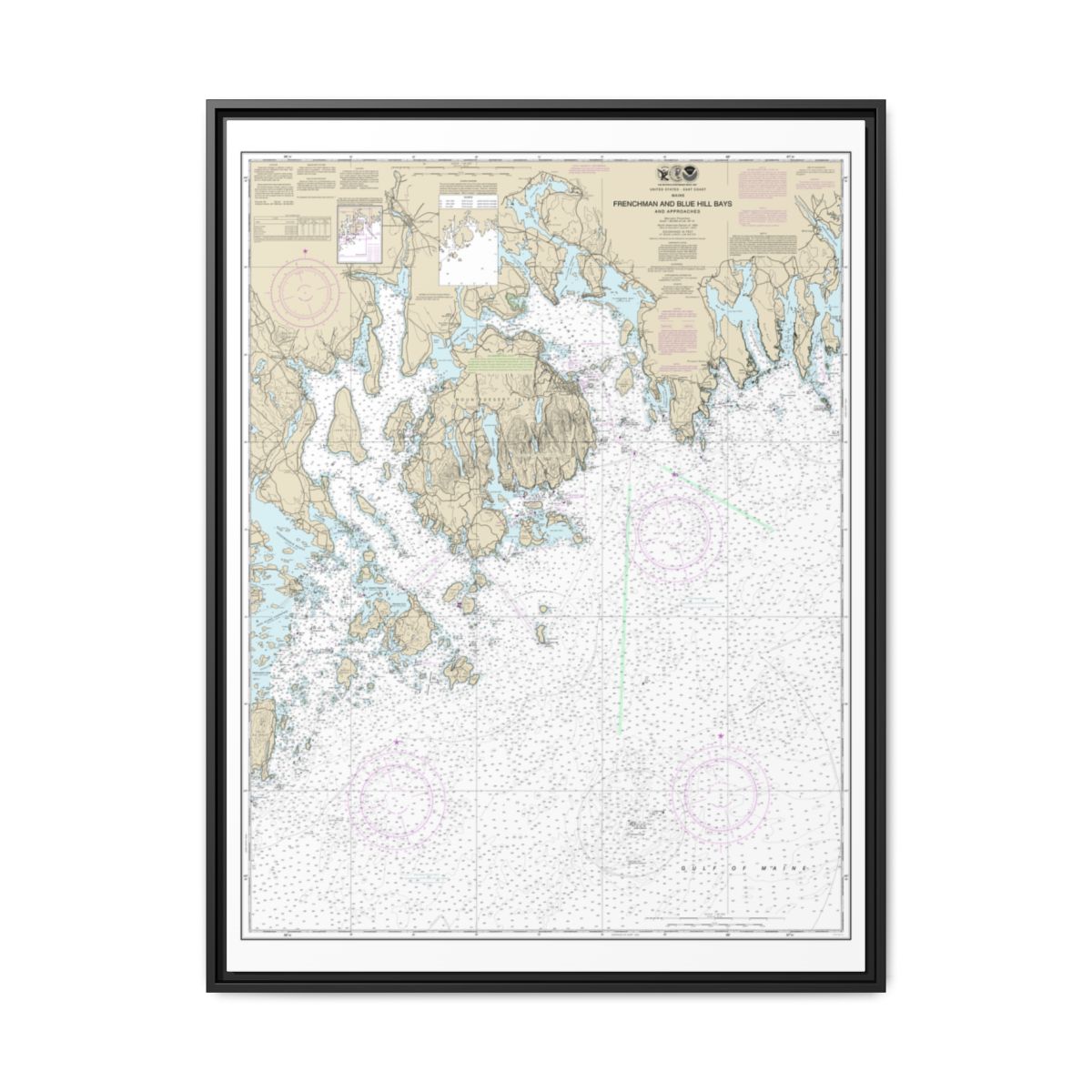 Chart 13312 Frenchman and Blue Hill Bays and Approaches - NOAA Nautical Chart Floating Frame Canvas | 24" x 32" | 30" x 40" - Black front