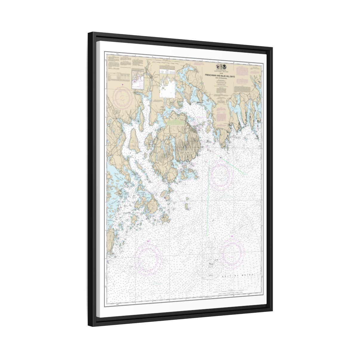 Chart 13312 Frenchman and Blue Hill Bays and Approaches - NOAA Nautical Chart Floating Frame Canvas | 24" x 32" | 30" x 40" - Black side