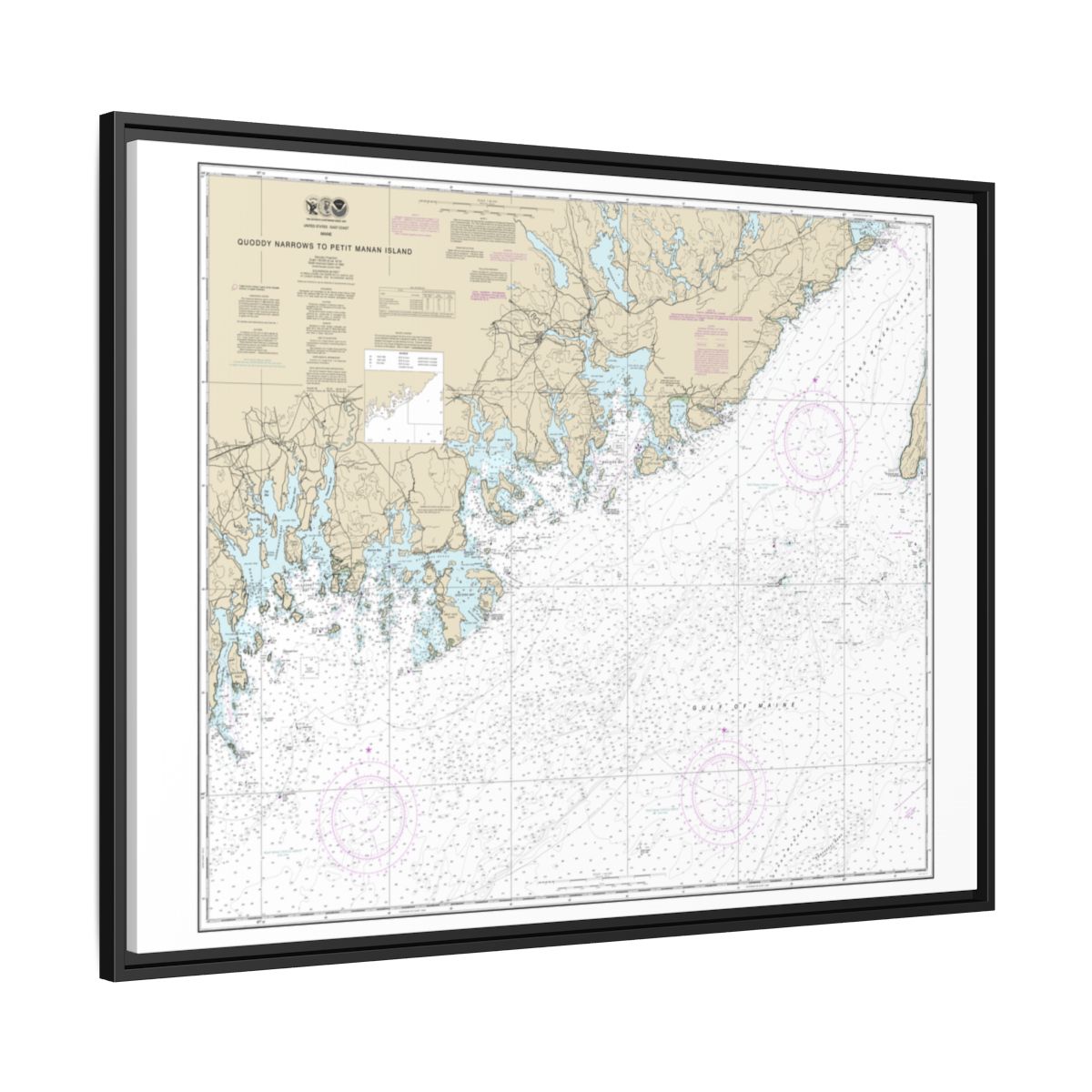 Chart 13325 Quoddy Narrows to Petit Manan lsland - NOAA Nautical Chart Floating Frame Canvas | 32" x 24" | 40" x 30" - Black side