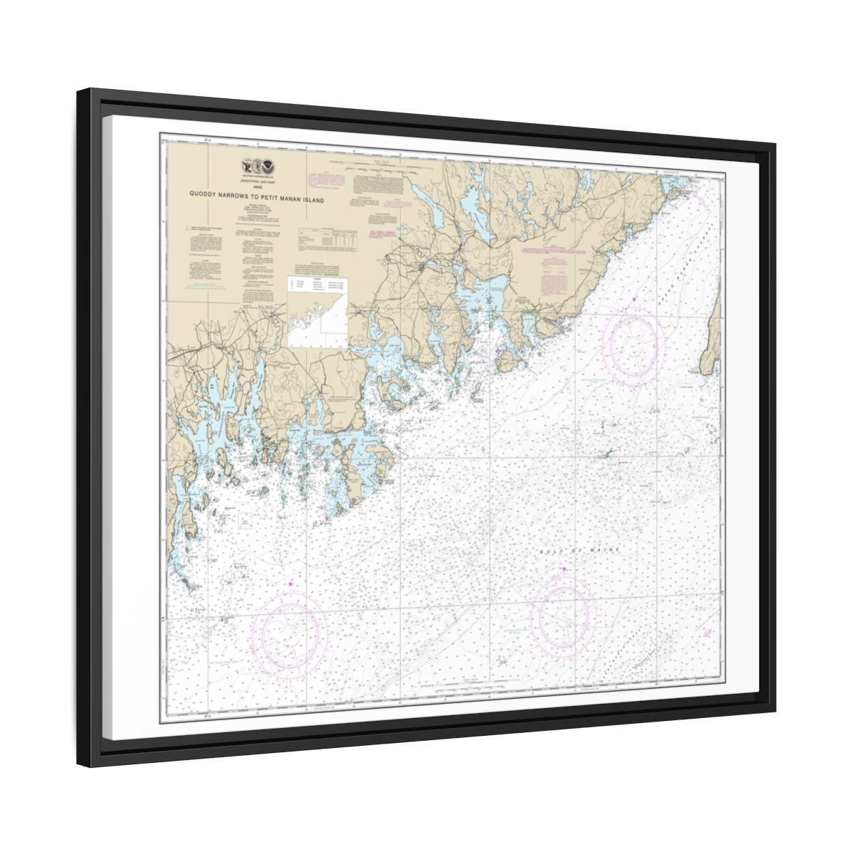 Chart 13325 Quoddy Narrows to Petit Manan lsland - NOAA Nautical Chart Floating Frame Canvas | 32" x 24" | 40" x 30" - Black side
