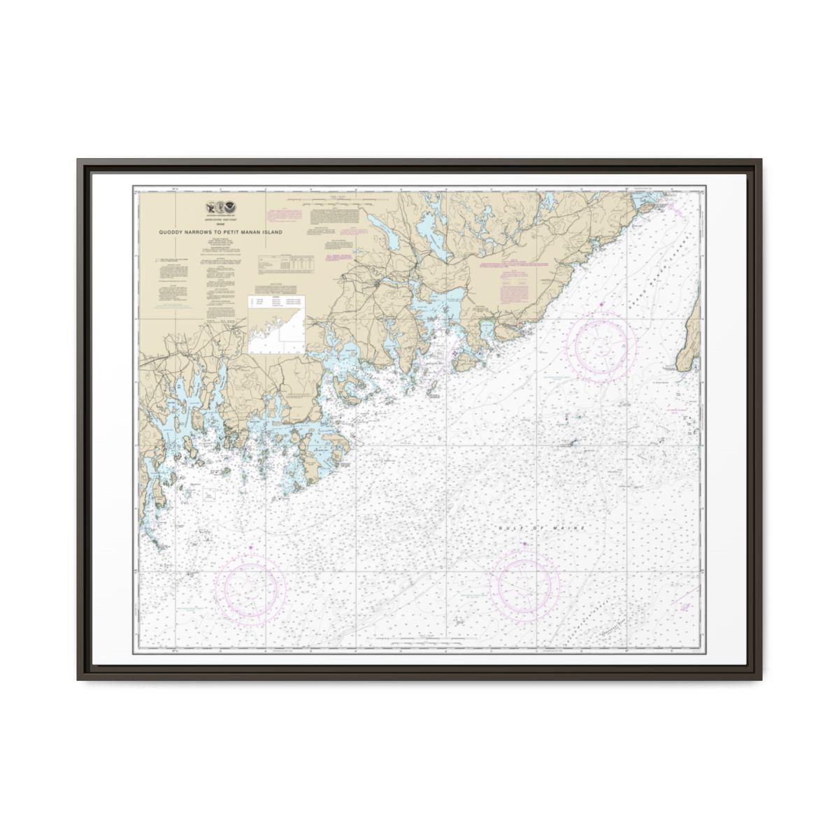 Chart 13325 Quoddy Narrows to Petit Manan lsland - NOAA Nautical Chart Floating Frame Canvas | 32" x 24" | 40" x 30" - Espresso front