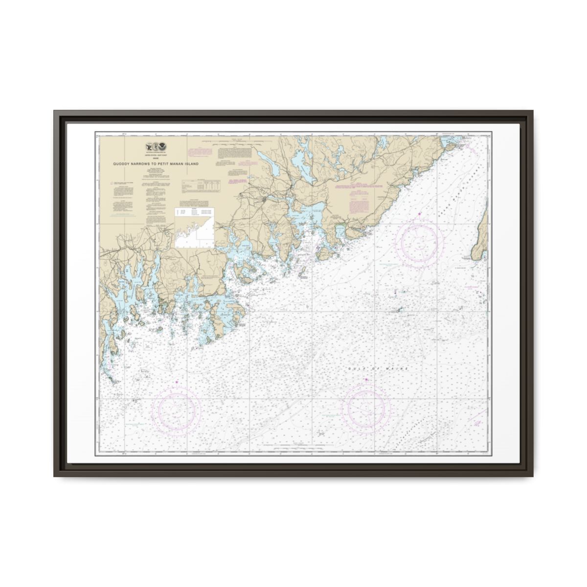 Chart 13325 Quoddy Narrows to Petit Manan lsland - NOAA Nautical Chart Floating Frame Canvas | 32" x 24" | 40" x 30" - Espresso front