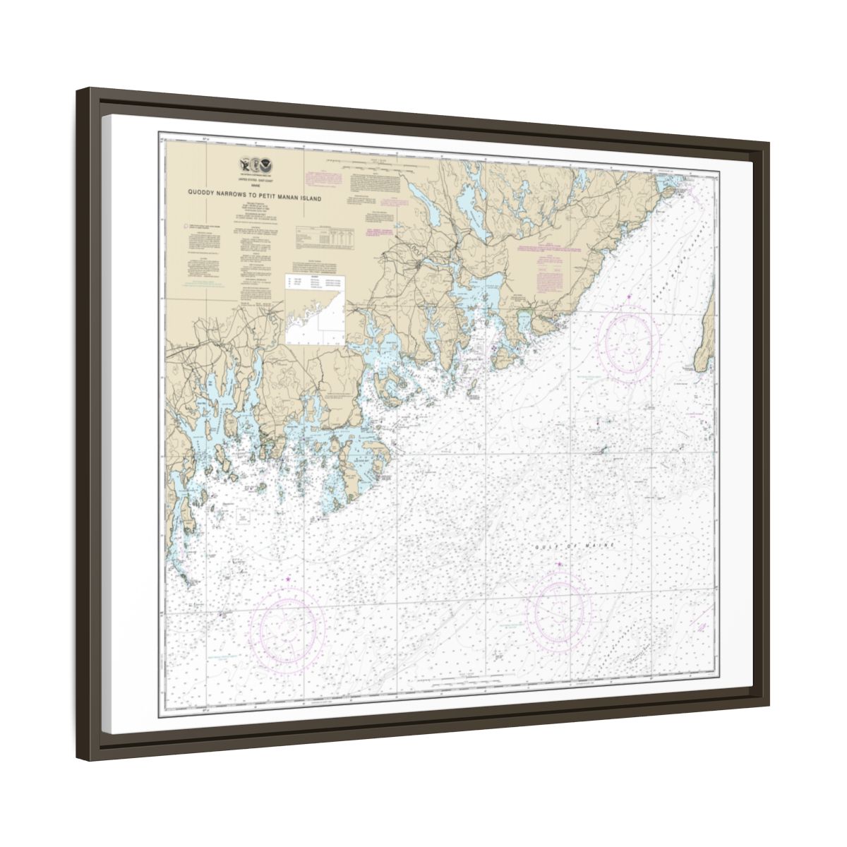 Chart 13325 Quoddy Narrows to Petit Manan lsland - NOAA Nautical Chart Floating Frame Canvas | 32" x 24" | 40" x 30" - Espresso side