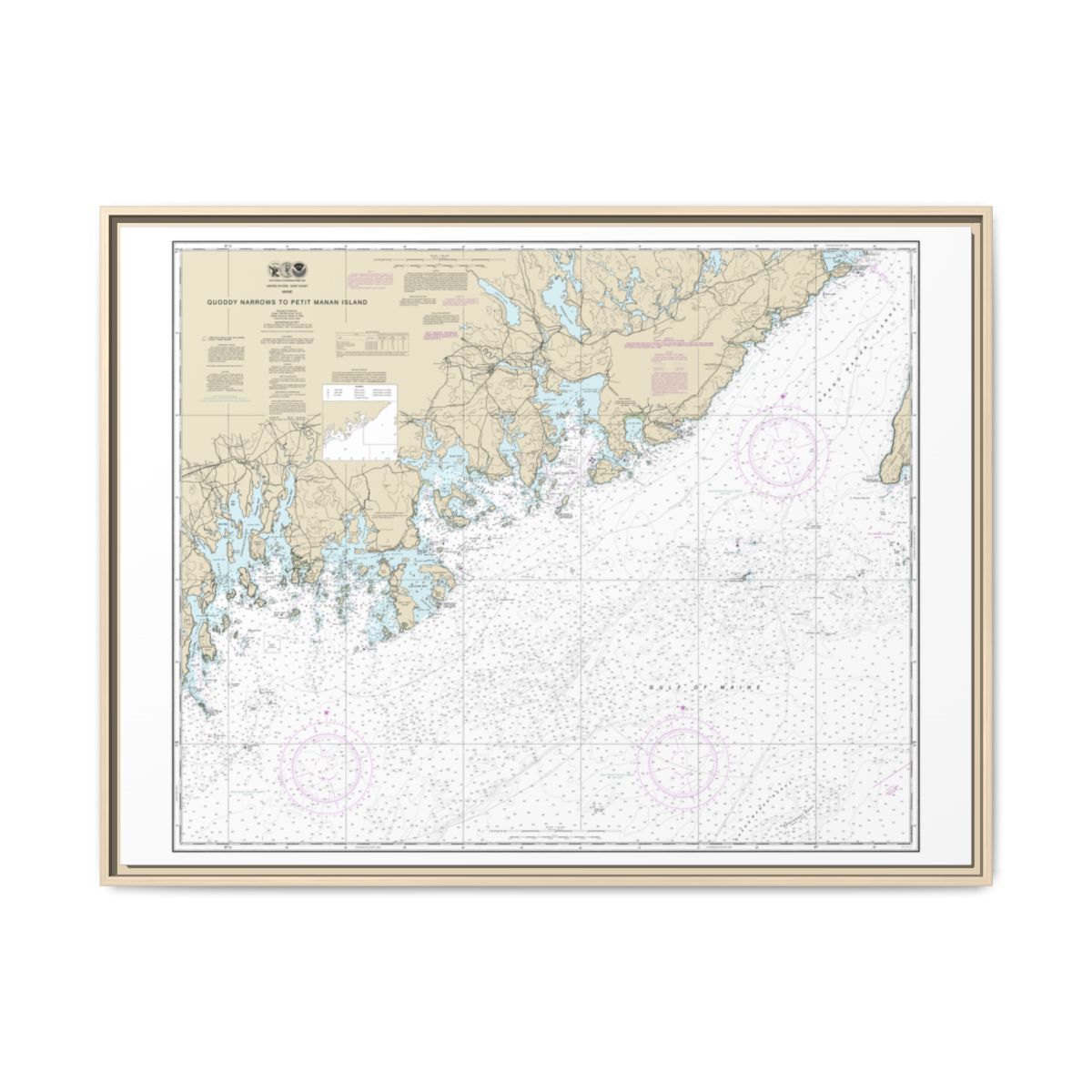 Chart 13325 Quoddy Narrows to Petit Manan lsland - NOAA Nautical Chart Floating Frame Canvas | 32" x 24" | 40" x 30" - Natural front