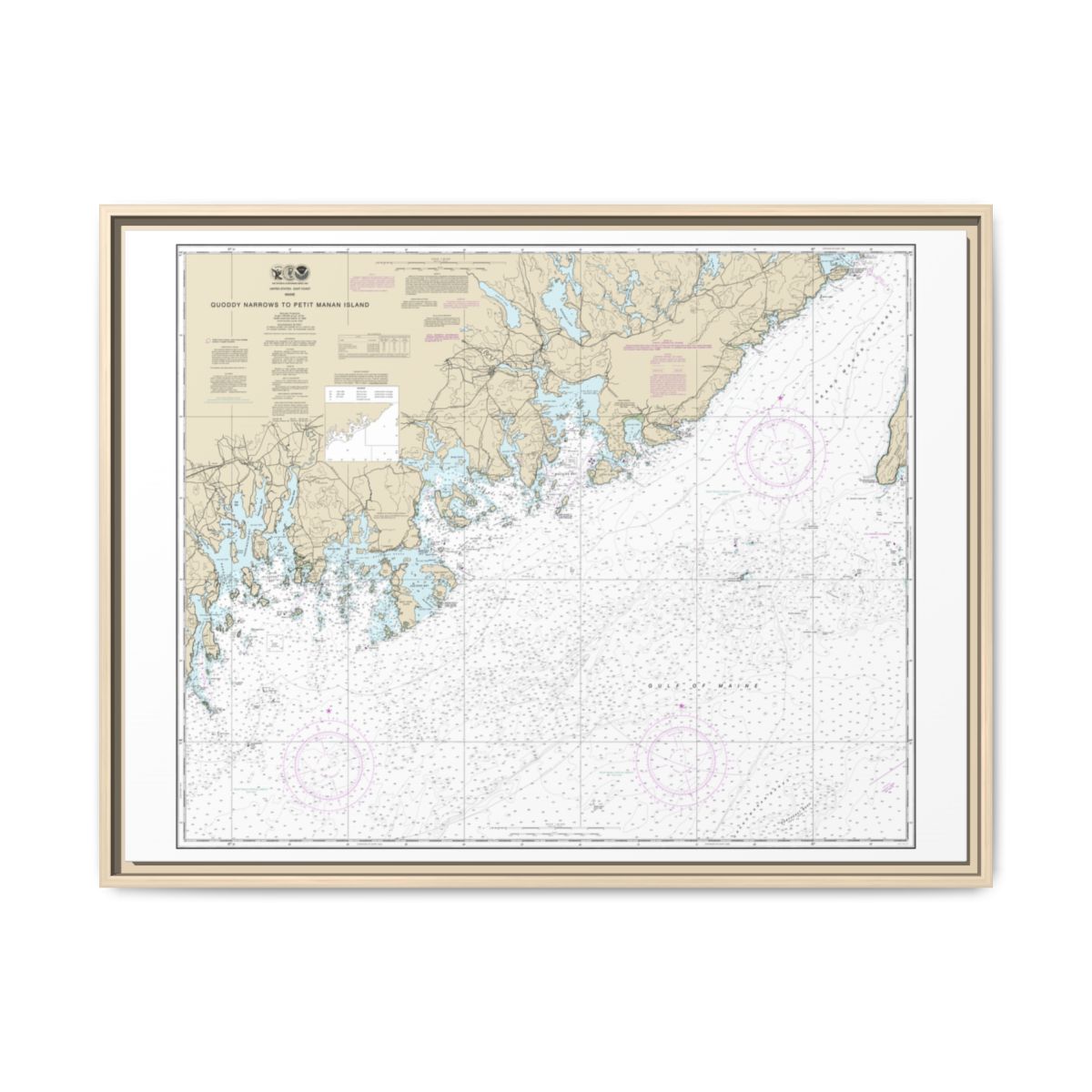 Chart 13325 Quoddy Narrows to Petit Manan lsland - NOAA Nautical Chart Floating Frame Canvas | 32" x 24" | 40" x 30" - Natural front