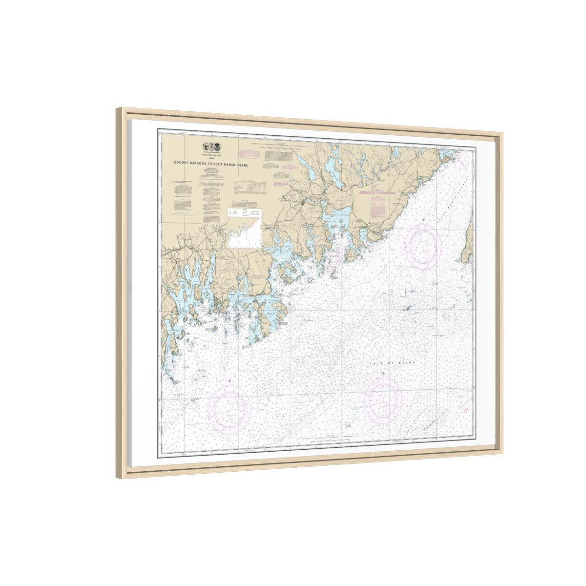 Chart 13325 Quoddy Narrows to Petit Manan lsland - NOAA Nautical Chart Floating Frame Canvas | 32" x 24" | 40" x 30" - Natural side
