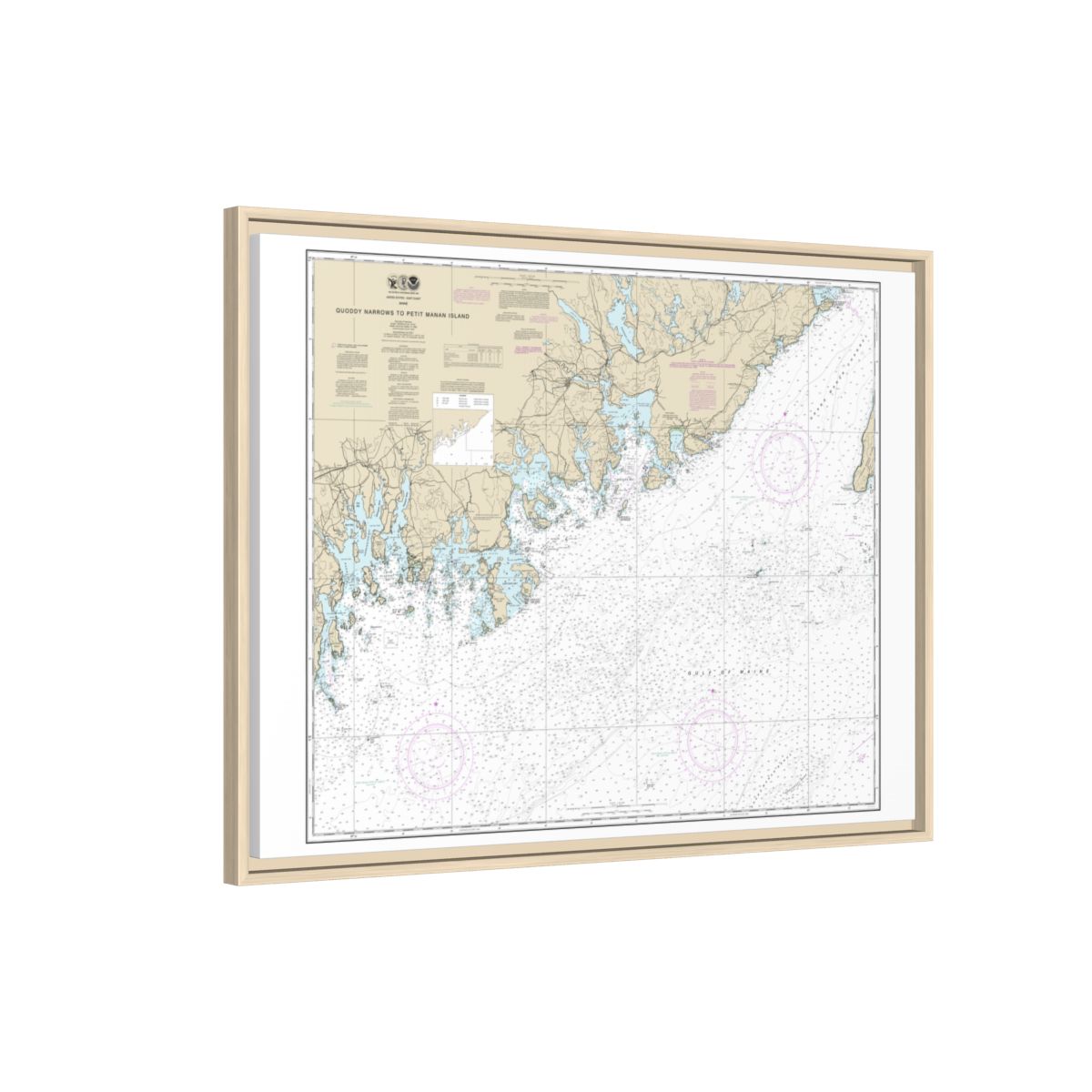 Chart 13325 Quoddy Narrows to Petit Manan lsland - NOAA Nautical Chart Floating Frame Canvas | 32" x 24" | 40" x 30" - Natural side