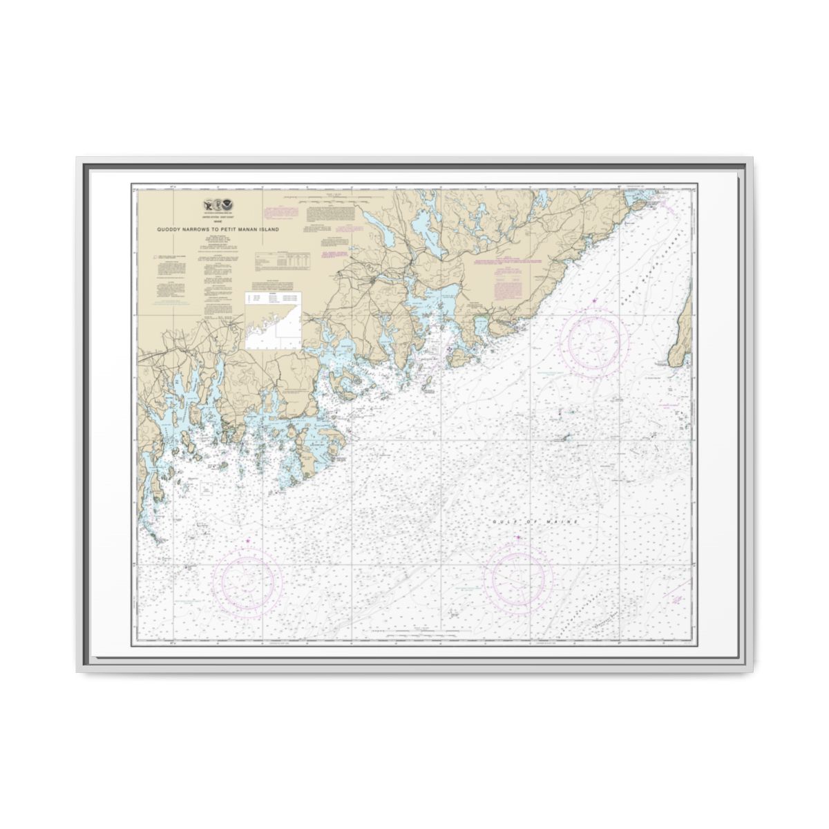 Chart 13325 Quoddy Narrows to Petit Manan lsland - NOAA Nautical Chart Floating Frame Canvas | 32" x 24" | 40" x 30" - White front
