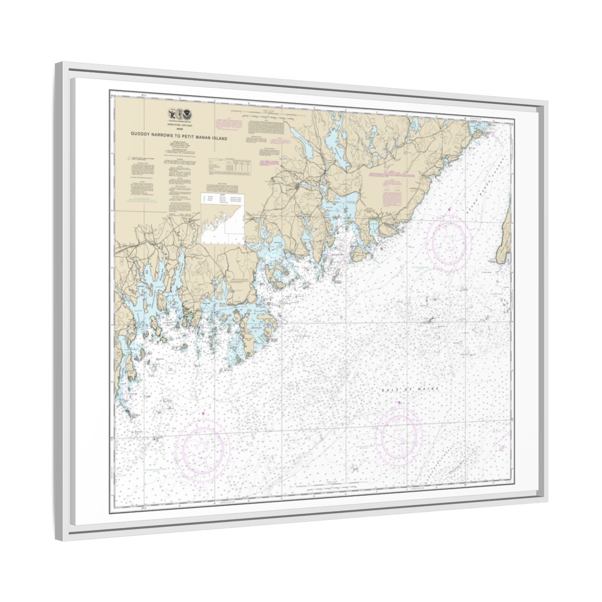 Chart 13325 Quoddy Narrows to Petit Manan lsland - NOAA Nautical Chart Floating Frame Canvas | 32" x 24" | 40" x 30" - White side