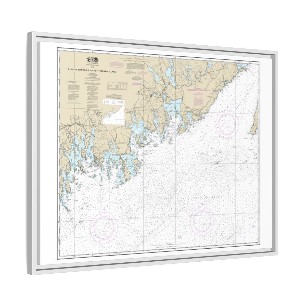 Chart 13325 Quoddy Narrows to Petit Manan lsland - NOAA Nautical Chart Floating Frame Canvas | 32" x 24" | 40" x 30" - White side