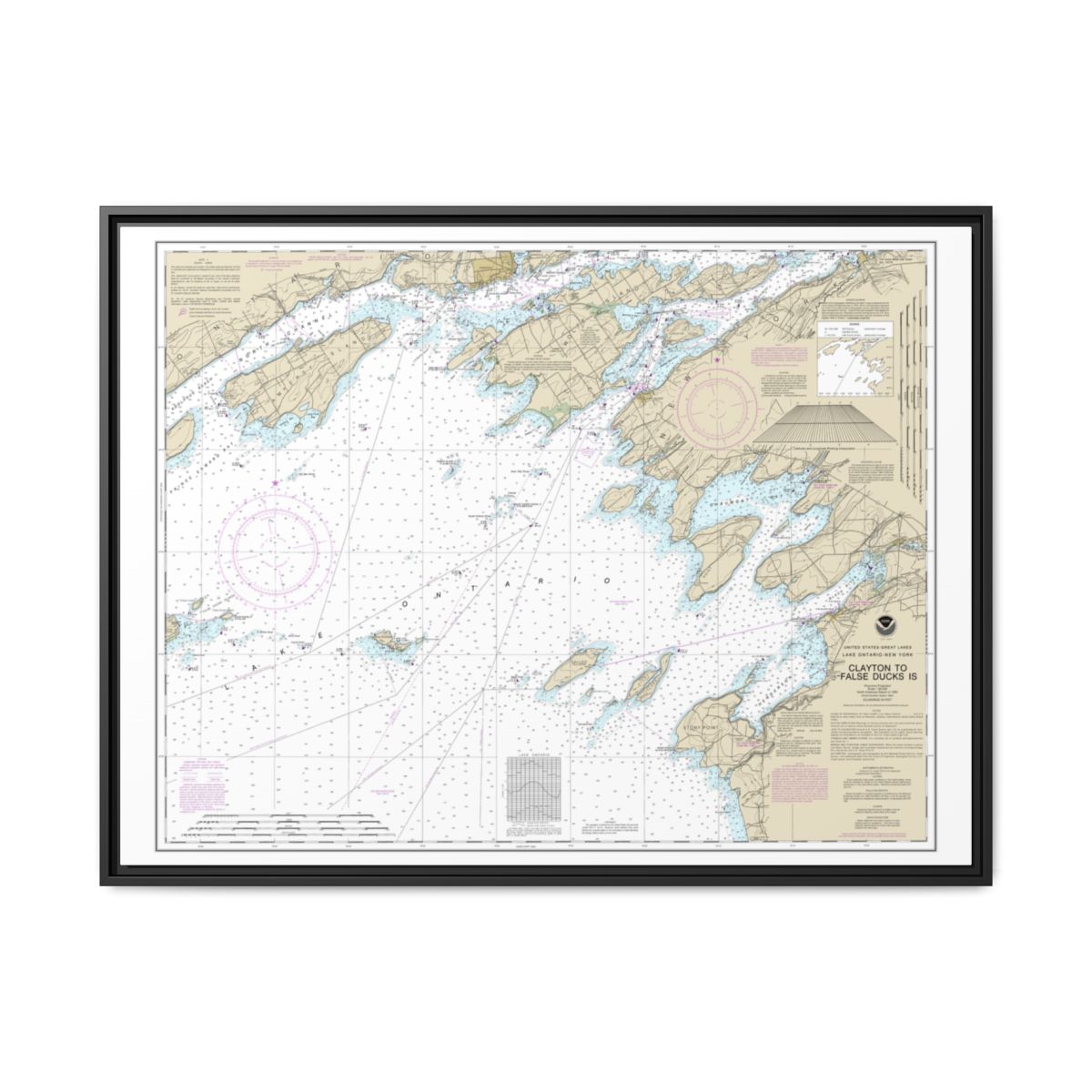 Chart 14802 Clayton to False Ducks ls. - NOAA Nautical Chart Floating Frame Canvas | 32" x 24" | 40" x 30" - Black front