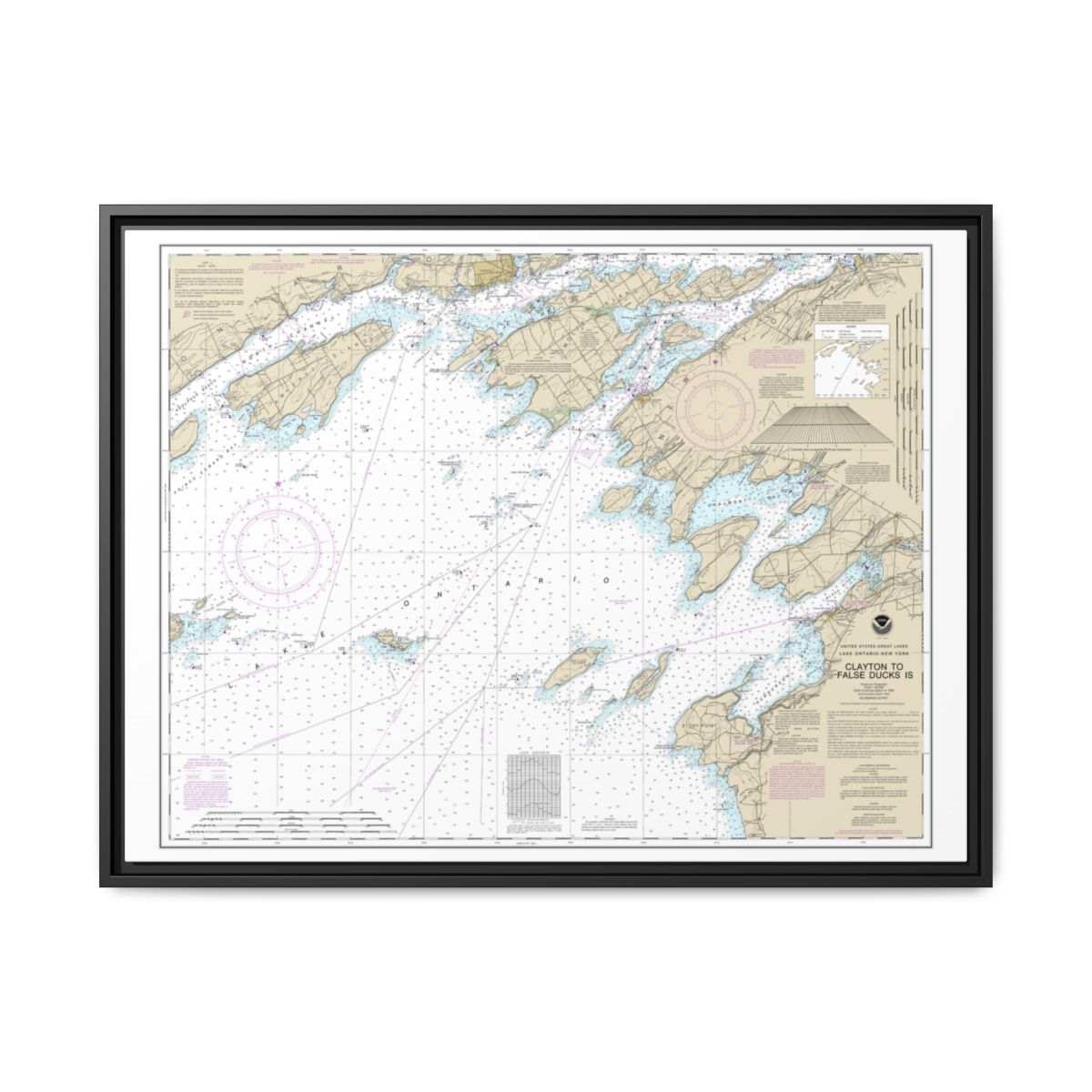 Chart 14802 Clayton to False Ducks ls. - NOAA Nautical Chart Floating Frame Canvas | 32" x 24" | 40" x 30" - Black front