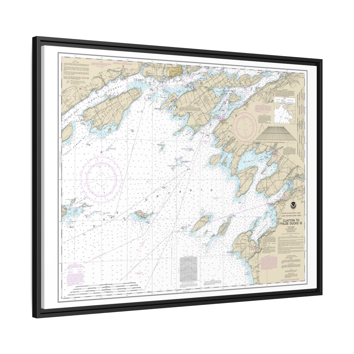 Chart 14802 Clayton to False Ducks ls. - NOAA Nautical Chart Floating Frame Canvas | 32" x 24" | 40" x 30" - Black side