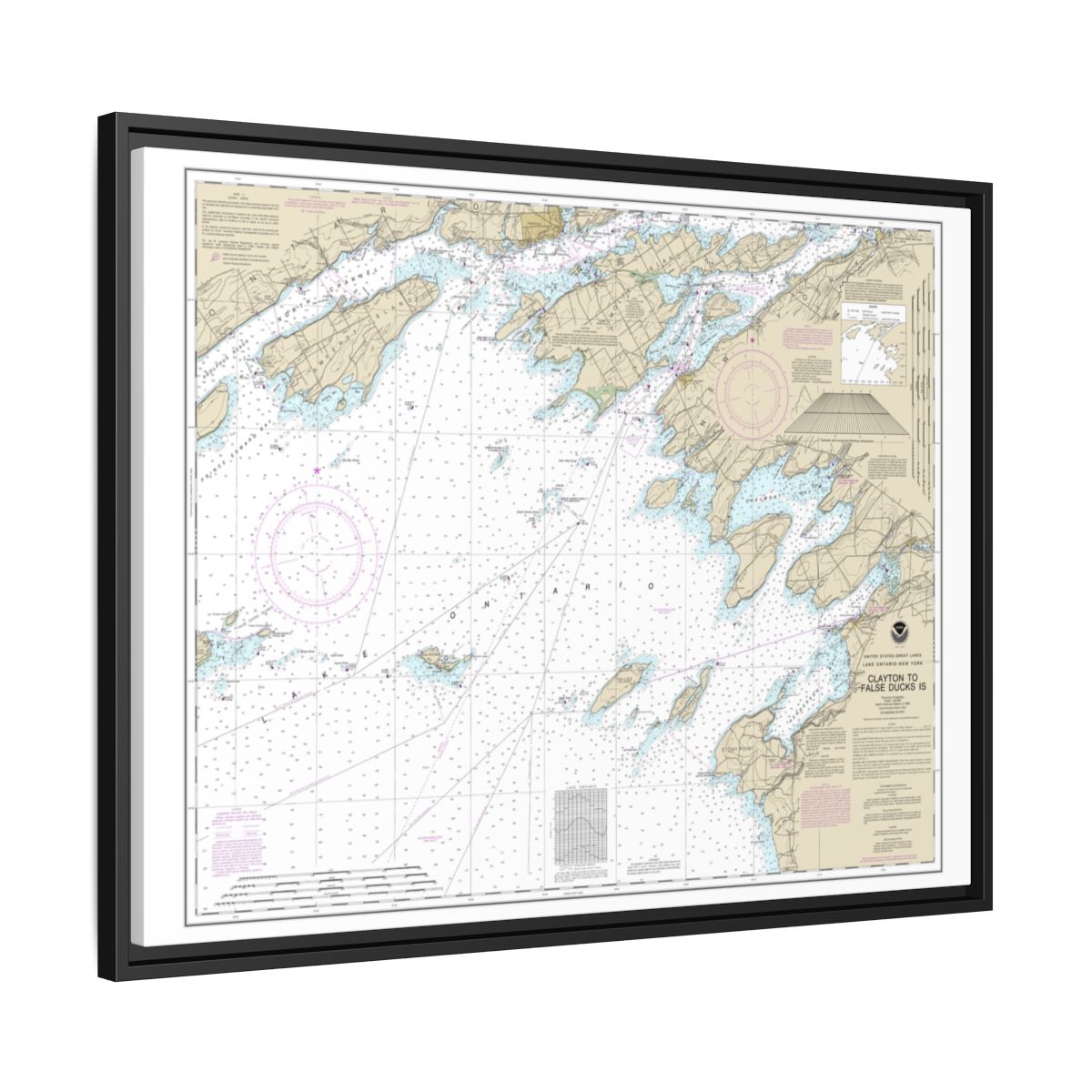 Chart 14802 Clayton to False Ducks ls. - NOAA Nautical Chart Floating Frame Canvas | 32" x 24" | 40" x 30" - Black side