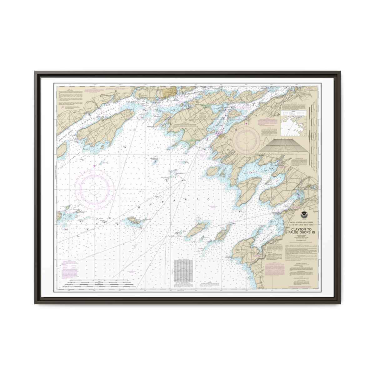 Chart 14802 Clayton to False Ducks ls. - NOAA Nautical Chart Floating Frame Canvas | 32" x 24" | 40" x 30" - Espresso front
