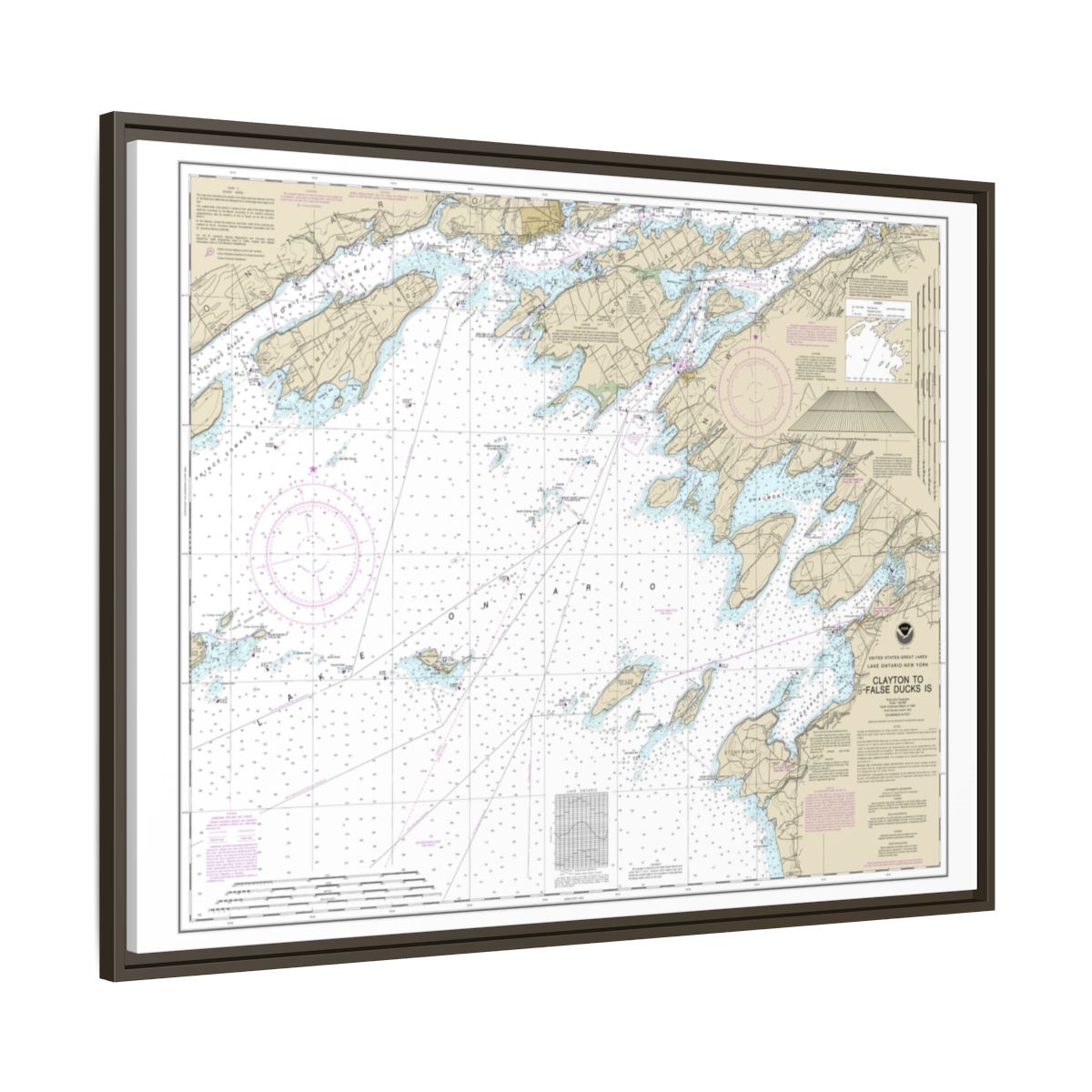Chart 14802 Clayton to False Ducks ls. - NOAA Nautical Chart Floating Frame Canvas | 32" x 24" | 40" x 30" - Espresso side