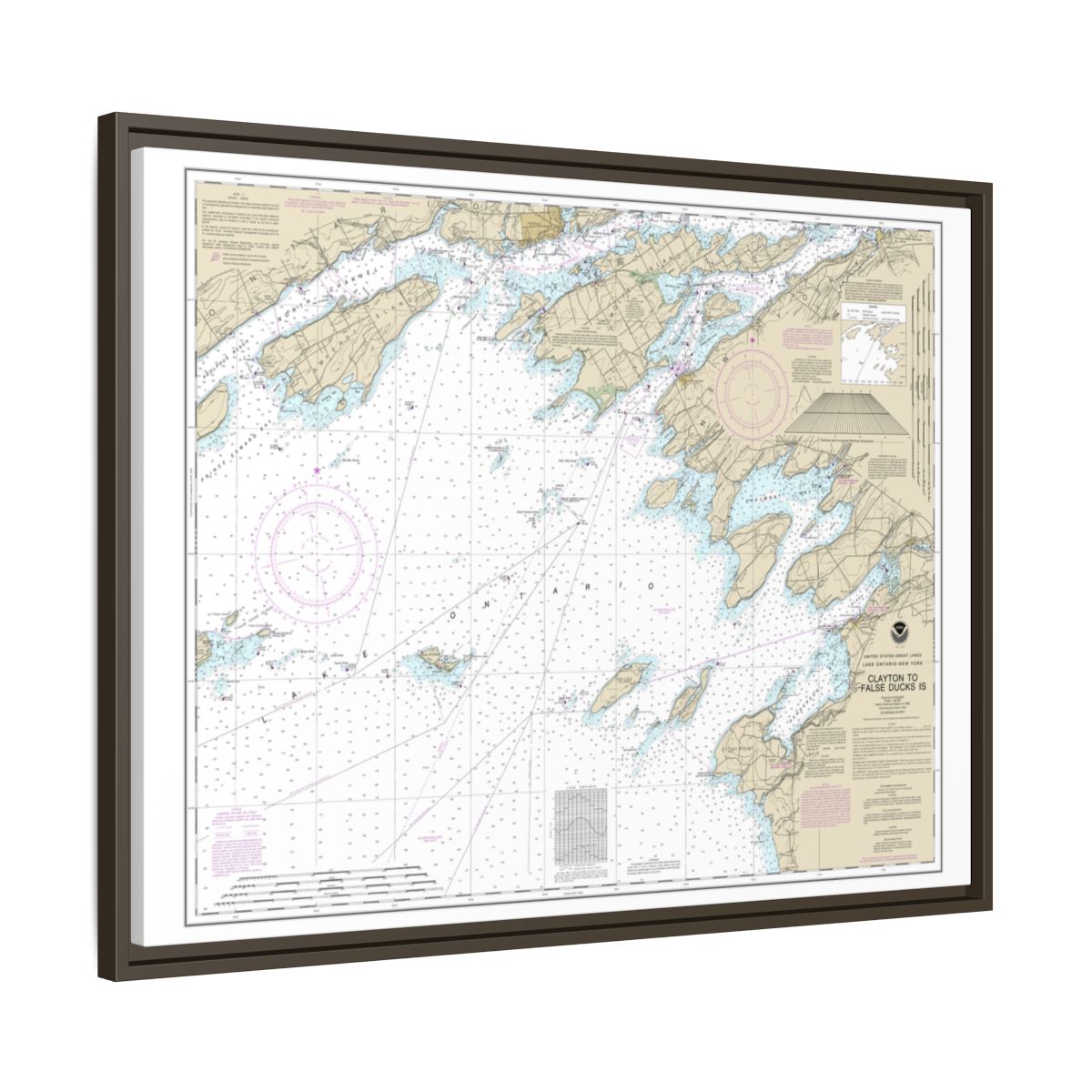 Chart 14802 Clayton to False Ducks ls. - NOAA Nautical Chart Floating Frame Canvas | 32" x 24" | 40" x 30" - Espresso side