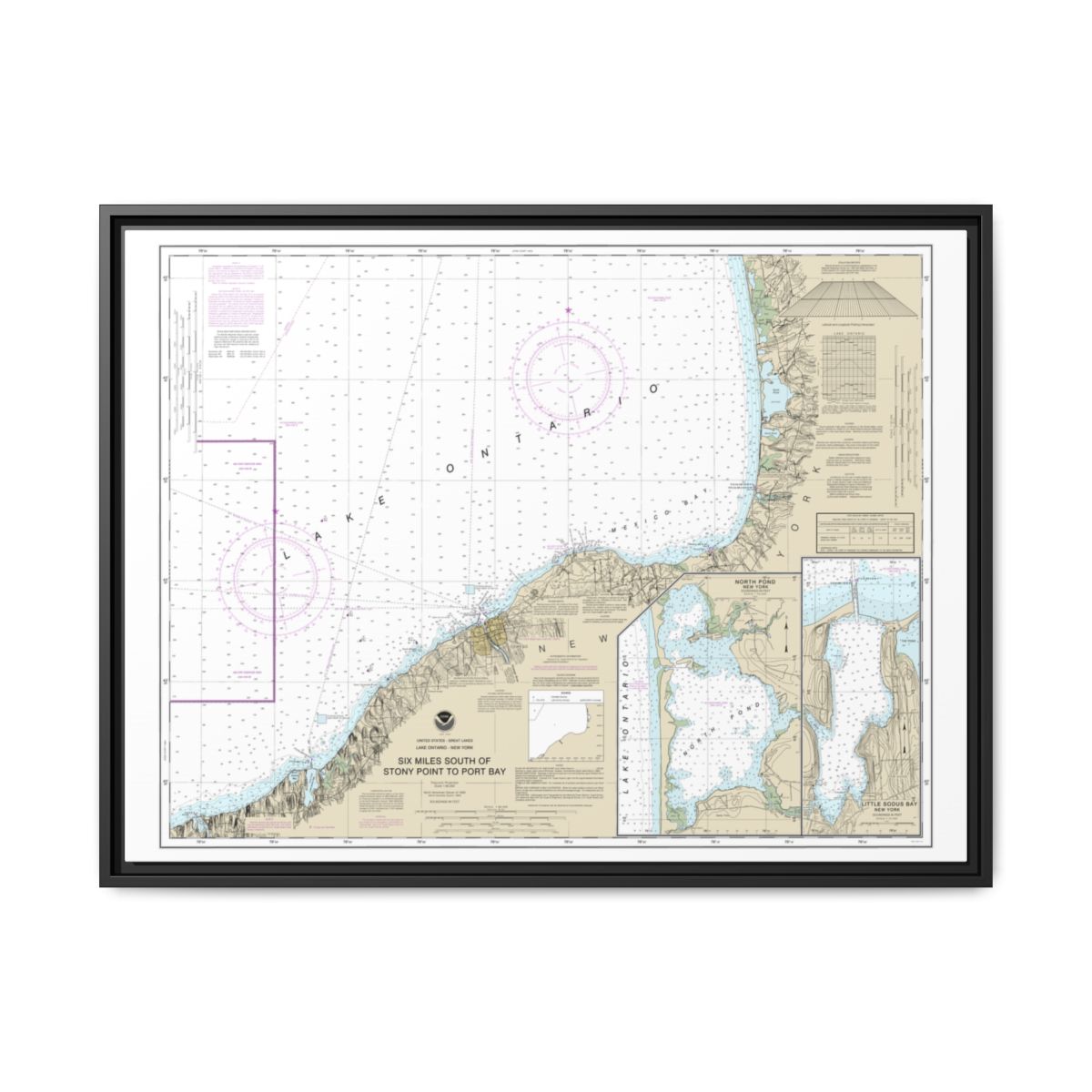 Chart 14803 Six Miles south of Stony Point to Port Bay;North Pond;Little Sodus Bay - NOAA Nautical Chart Floating Frame Canvas | 32" x 24" | 40" x 30" - Black front