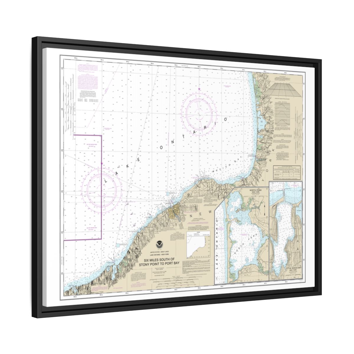 Chart 14803 Six Miles south of Stony Point to Port Bay;North Pond;Little Sodus Bay - NOAA Nautical Chart Floating Frame Canvas | 32" x 24" | 40" x 30" - Black side