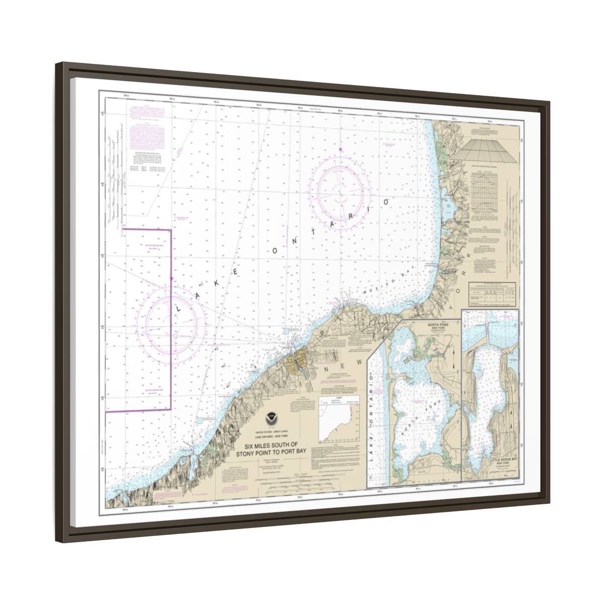 Chart 14803 Six Miles south of Stony Point to Port Bay;North Pond;Little Sodus Bay - NOAA Nautical Chart Floating Frame Canvas | 32" x 24" | 40" x 30" - Espresso side