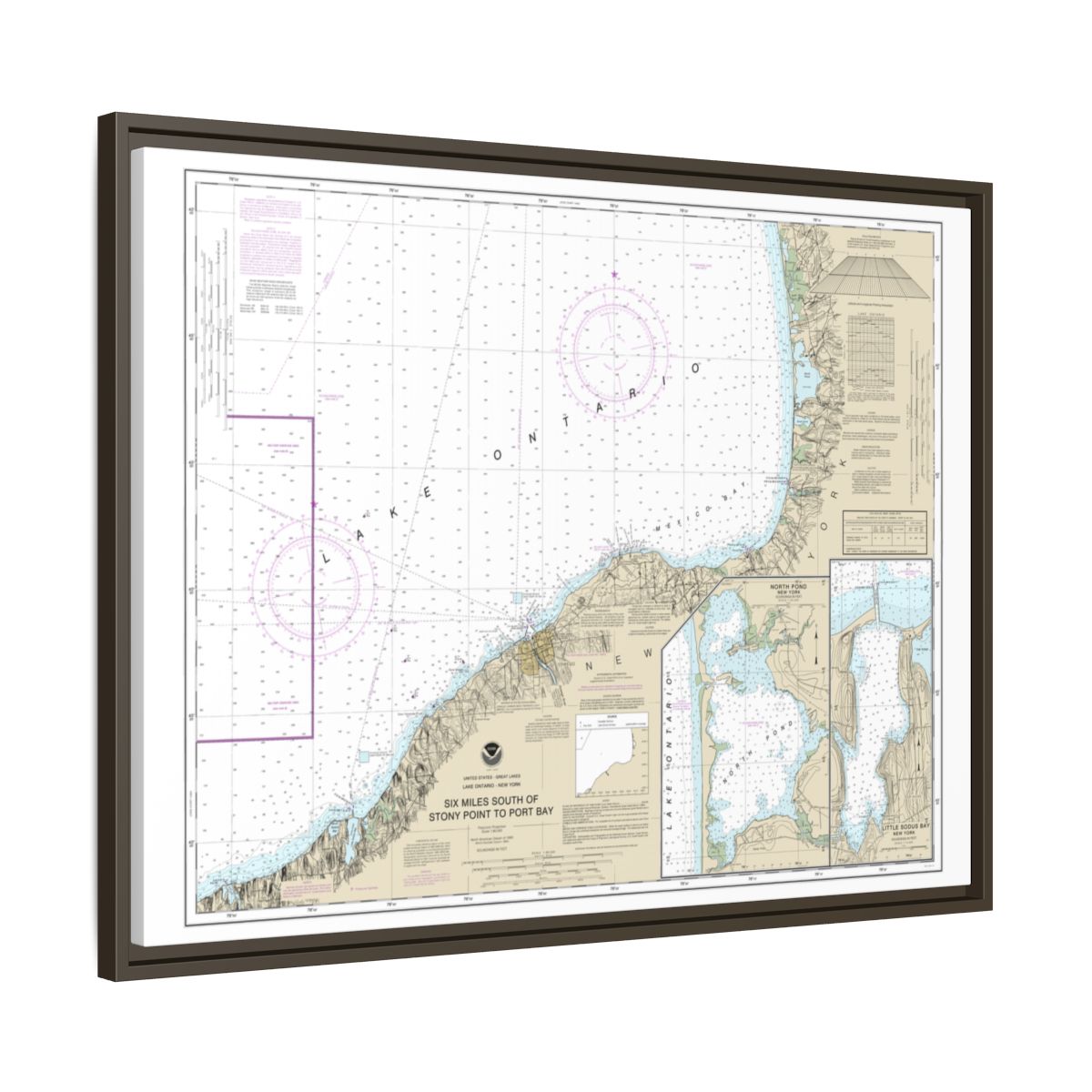 Chart 14803 Six Miles south of Stony Point to Port Bay;North Pond;Little Sodus Bay - NOAA Nautical Chart Floating Frame Canvas | 32" x 24" | 40" x 30" - Espresso side