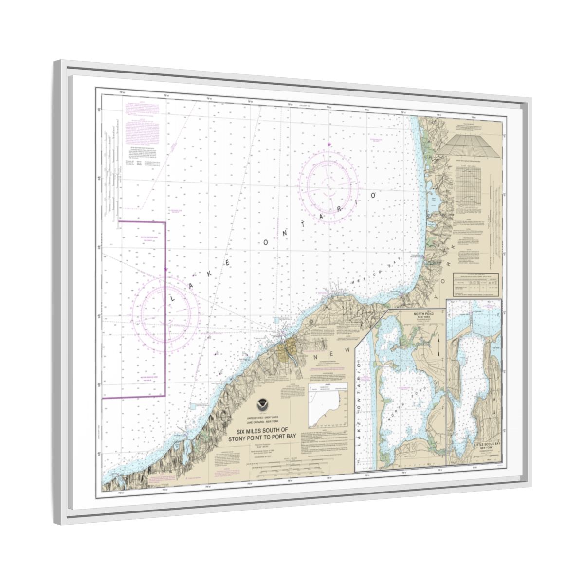Chart 14803 Six Miles south of Stony Point to Port Bay;North Pond;Little Sodus Bay - NOAA Nautical Chart Floating Frame Canvas | 32" x 24" | 40" x 30" - White side